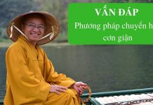 Vấn đáp: Phương pháp chuyển hóa cơn giận – Thích Nhật Từ van dap phuong phap chuyen hoa c