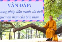 Vấn đáp: Phương pháp đấu tranh với thói quen ăn mặn – Thích Nhật Từ van dap phuong phap dau tranh vo