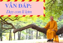 Vấn đáp: Phương pháp dạy con lì lợm – Thích Nhật Từ van dap phuong phap day con li l