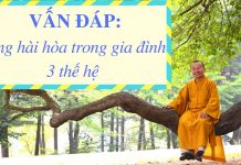 Vấn đáp: Phương pháp để các thành viên trong gia đình sống an lạc-hạnh phúc – Thích Nhật Từ van dap phuong phap de cac thanh
