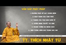 Vấn Đáp: Phương Pháp Để Đạt Chánh Niệm, Hoạt Dụng Của Tâm Thức – Thích Nhật Từ van dap phuong phap de dat chanh