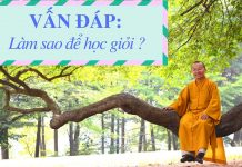 Vấn đáp: Phương pháp để học giỏi – Thích Nhật Từ van dap phuong phap de hoc gioi