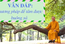 Vấn đáp: Phương pháp để tâm được buông xả – Thích Nhật Từ van dap phuong phap de tam duoc