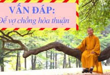 Vấn đáp: Phương pháp để vợ chồng hòa thuận – Thích Nhật Từ van dap phuong phap de vo chong