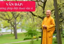 Vấn đáp: Phương pháp diệt tham sân si – Thích Nhật Từ van dap phuong phap diet tham sa