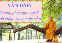 Vấn đáp: Phương pháp giải quyết tranh chấp trong cuộc sống – Thích Nhật Từ van dap phuong phap giai quyet t