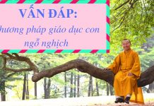 Vấn đáp: Phương pháp giáo dục con bướng bỉnh, ngỗ nghịch – Thích Nhật Từ van dap phuong phap giao duc con