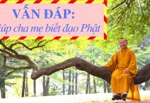 Vấn đáp: Phương pháp giúp cha mẹ biết đạo Phật – Thích Nhật Từ van dap phuong phap giup cha me