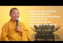 Vấn Đáp: Phương Pháp Hành Trì Tu Học Phật – Thích Nhật Từ van dap phuong phap hanh tri tu