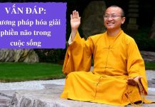 Vấn đáp: Phương pháp hóa giải phiền não trong cuộc sống – Thích Nhật Từ van dap phuong phap hoa giai phi