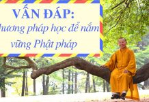 Vấn đáp: Phương pháp học để nắm vững Phật pháp – Thích Nhật Từ van dap phuong phap hoc de nam v
