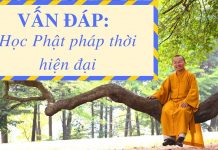 Vấn đáp: Phương pháp học Phật pháp thời hiện đại – Thích Nhật Từ van dap phuong phap hoc phat pha