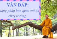 Vấn đáp: Phương pháp làm quen với ăn chay trường – Thích Nhật Từ van dap phuong phap lam quen voi