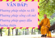 Vấn đáp: Phương pháp nhận ra lỗi, sống cởi mở, quay đầu hướng thiện – Thích Nhật Từ van dap phuong phap nhan ra loi