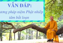 Vấn đáp: Phương pháp niệm Phật nhiếp tâm – Thích Nhật Từ van dap phuong phap niem phat nh