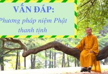 Vấn đáp: Phương pháp niệm Phật thanh tịnh – Thích Nhật Từ van dap phuong phap niem phat th