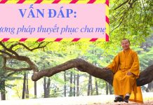 Vấn đáp: Phương pháp thuyết phục cha mẹ – Thích Nhật Từ van dap phuong phap thuyet phuc 1