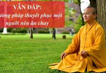 Vấn đáp: Phương pháp thuyết phục một người nên ăn chay – Thích Nhật Từ van dap phuong phap thuyet phuc