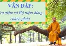 Vấn đáp: Phương pháp trợ niệm – hộ niệm cho người quá cố – Thích Nhật Từ van dap phuong phap tro niem ho