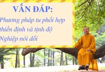 Vấn đáp: Phương pháp tu phối hợp thiền định và tịnh độ, nghiệp nói dối – Thích Nhật Từ van dap phuong phap tu phoi hop
