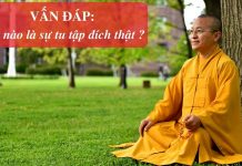 Vấn đáp: Phương pháp tu tập tại gia và xuất gia – Thích Nhật Từ van dap phuong phap tu tap tai g