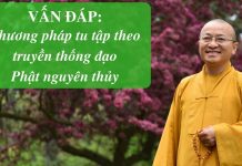 Vấn đáp: Phương pháp tu tập theo truyền thống đạo Phật nguyên thủy – Thích Nhật Từ van dap phuong phap tu tap theo