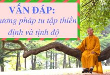 Vấn đáp: Phương pháp tu tập thiền định và tịnh độ – Thích Nhật Từ van dap phuong phap tu tap thien