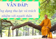 Vấn đáp: Phương pháp ứng dụng tha lục và trách nhiệm với người thân – Thích Nhật Từ van dap phuong phap ung dung tha