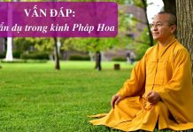 Vấn đáp: Phương pháp vượt qua chấp ngã – Thích Nhật Từ van dap phuong phap vuot qua cha