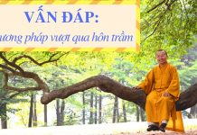Vấn đáp: Phương pháp vượt qua hôn trầm (buồn ngủ) lúc đọc kinh, ngồi thiền – Thích Nhật Từ van dap phuong phap vuot qua hon
