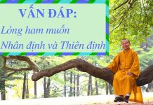 Vấn đáp: Phương pháp vượt qua nổi lo – Thích Nhật Từ van dap phuong phap vuot qua noi