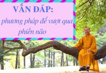 Vấn đáp: Phương pháp vượt qua phiền não – Thích Nhật Từ van dap phuong phap vuot qua phi