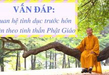 Vấn đáp: Quan hệ giới tính trước hôn nhân theo tinh thần Phật Giáo – Thích Nhật Từ van dap quan he gioi tinh truoc