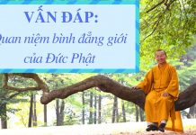 Vấn đáp: Quan niệm bình đẳng giới của Đức Phật – Thích Nhật Từ van dap quan niem binh dang gioi