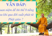 Vấn đáp: Quan niệm để thi thể 8 tiếng sau khi qua đời – Thích Nhật Từ van dap quan niem de thi the 8 t