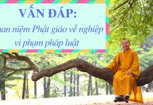 Vấn đáp: Quan niệm Phật giáo về nghiệp vi phạm pháp luật – Thích Nhật Từ van dap quan niem phat giao ve n