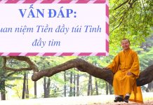 Vấn đáp: Quan niệm “Tiền đầy túi,tình đầy tim” – Thích Nhật Từ van dap quan niem tien day tuiti