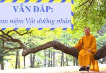 Vấn đáp: Quan niệm “vật dưỡng nhân” – Thích Nhật Từ van dap quan niem vat duong nhan
