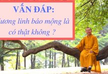 Vấn đáp: Quan niệm về “hương linh báo mộng” – Thích Nhật Từ van dap quan niem ve huong linh