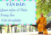 Vấn đáp: Quan niệm về Thân-Trung-Ấm, cận tử nghiệp – Thích Nhật Từ van dap quan niem ve than trung