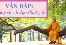 Vấn đáp: Quay về với đạo Phật gốc – Thích Nhật Từ van dap quay ve voi dao phat goc