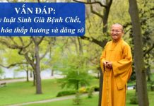 Vấn đáp: Quy luật Sinh-Lão-Bệnh-Chết, văn hóa thắp hương và dâng sớ – Thích Nhật Từ van dap quy luat sinh lao benh c