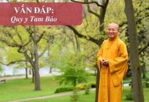 Vấn đáp: Quy y Tam Bảo – Thích Nhật Từ van dap quy y tam bao thich nhat