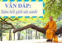 Vấn đáp: Sám hối giới sát sanh – Thích Nhật Từ van dap sam hoi gioi sat sanh th