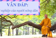 Vấn đáp: Sát nghiệp của người nông dân – Thích Nhật Từ van dap sat nghiep cua nguoi non