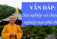 Vấn đáp: Sát nghiệp và chuyển nghiệp nạo phá thai – Thích Nhật Từ van dap sat nghiep va chuyen ngh