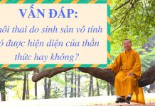 Vấn đáp: Sinh sản vô tính – Thích Nhật Từ van dap sinh san vo tinh thich n