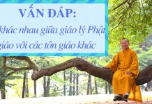 Vấn đáp: So sánh giáo lý Phật giáo với các tôn giáo khác – Thích Nhật Từ van dap so sanh giao ly phat gia