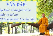 Vấn đáp: So sánh kiến thức và trí tuệ, khái niệm bác học đa văn – Thích Nhật Từ van dap so sanh kien thuc va tri