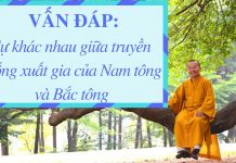 Vấn đáp: So sánh truyền thống xuất gia của Nam tông và Bắc tông – Thích Nhật Từ van dap so sanh truyen thong xua
